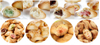 Sinobake Factory Biscuit Making Machine Cookie Rotary Moulder