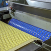 Rotary Soft Biscuit Machine / Rotary Moulder