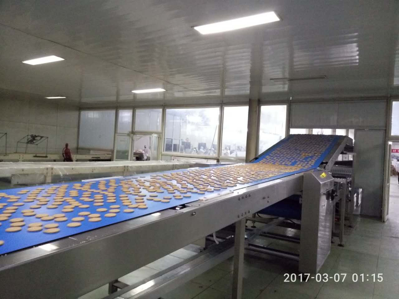 Réglage de la vitesse industrielle Ligne de refroidissement de transfert de convoyeur de biscuit